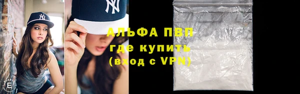 PSILOCYBIN Новозыбков