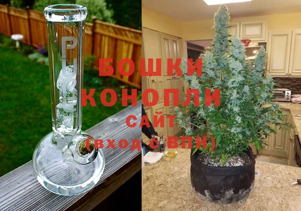 эйфоретик Новокубанск