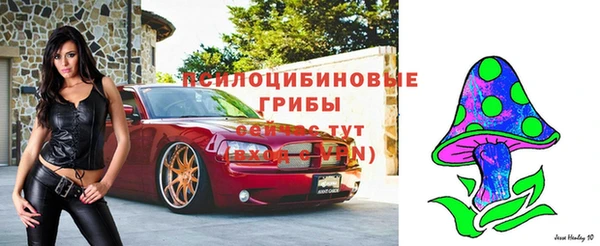 ECSTASY Новодвинск