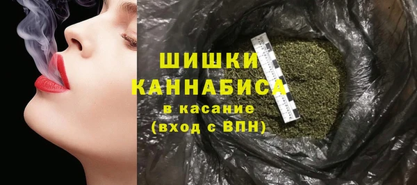 PSILOCYBIN Новозыбков