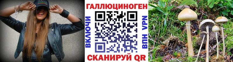 Галлюциногенные грибы MAGIC MUSHROOMS Звенигово